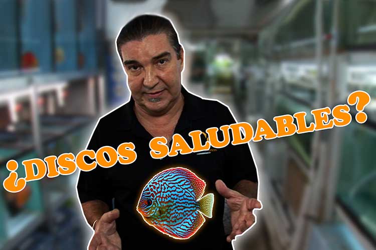 ¿Discos Saludables?