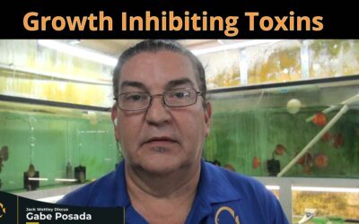 Growth Inhibiting Toxins