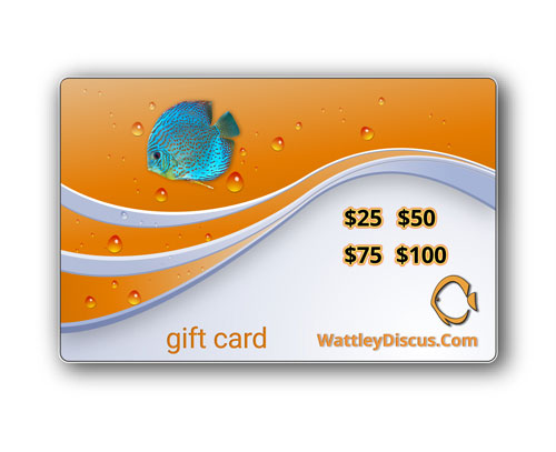 website-gift-cards-wattley-discus